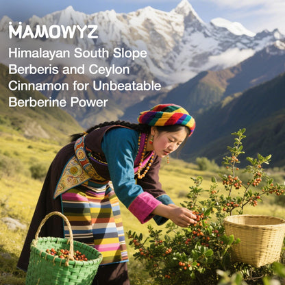 MAMOWYZ Berberine with Ceylon Cinnamon | 1500mg Berberine HCl, AMPK Activation, 2-Pack