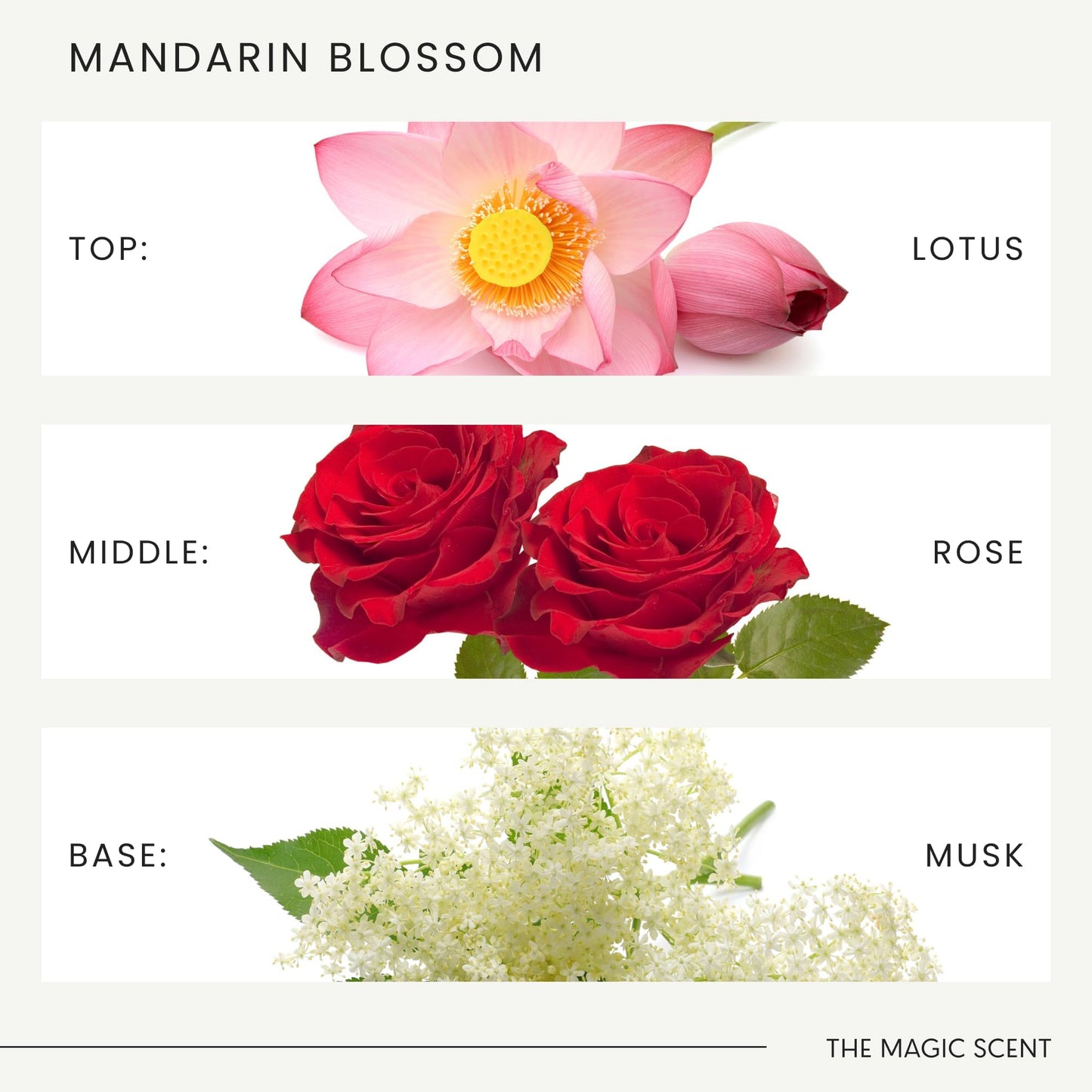 Mandarin Blossom Diffuser Oil – Luxury Hotel & Home Scents (4 oz / 120 mL)