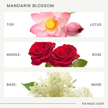 Mandarin Blossom Diffuser Oil – Luxury Hotel & Home Scents (4 oz / 120 mL)