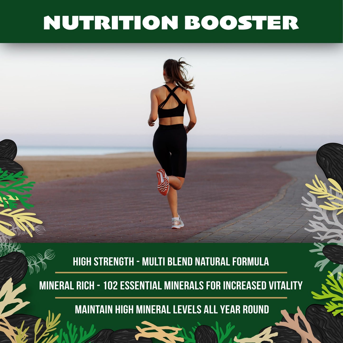 Sea Moss All-in-One Capsules with Black Seed, Turmeric & Ashwagandha