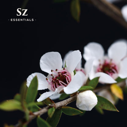 Sz Essentials Manuka Essential Oil – 100% Pure & Natural, New Zealand, 0.17 fl oz (5ml)