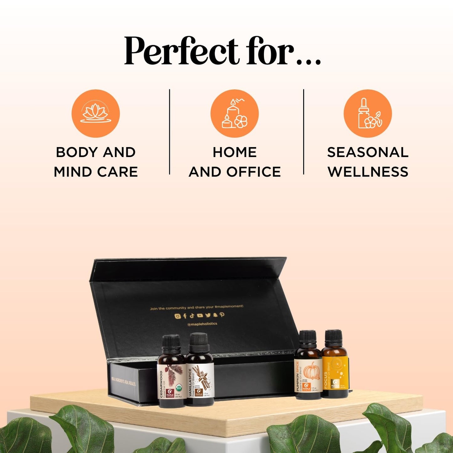 Maple Holistics Fall Essential Oils Set for Diffuser - 4x30mL Pumpkin Spice, Cedarwood, Vanilla Spice & Focus