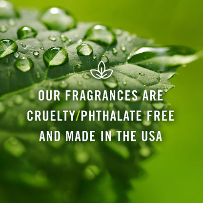 Maple Syrup Oil 30ml | P&J Trading Fragrance — Candle Scents, Freshie Scent, Soap & Diffuser Oils