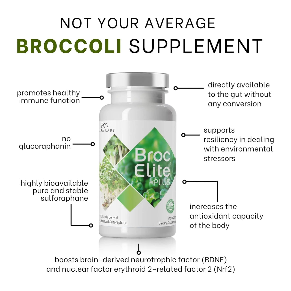 BrocElite Plus by Mara Labs – Stabilized Sulforaphane Broccoli Supplement, Glyphosate-Free, 60 Veg Capsules BritishVita | Premium UK Vitamins & Wellness Supplements
