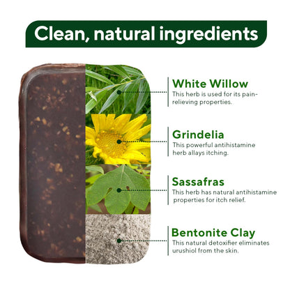 Marie Originals Poison Ivy Soap Bar | All-Natural Anti-Itch Cleanser for Poison Ivy, Oak & Sumac (2.9 oz, 6 bars)