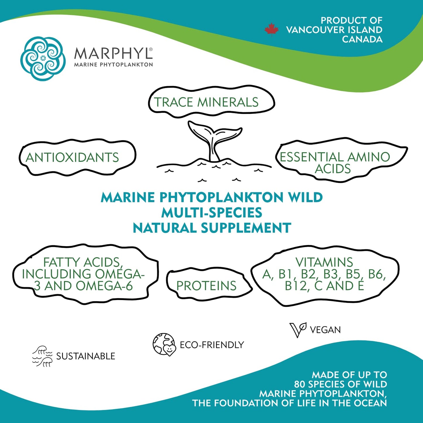 MARPHYL Marine Phytoplankton – Wild Multi-Species Supplement, 150 mg per Capsule, 30 Vegan Capsules | Vancouver Island, Canada