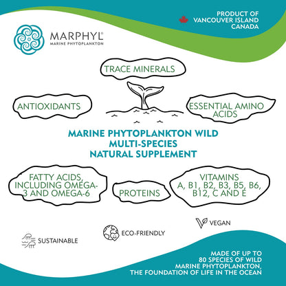 MARPHYL Marine Phytoplankton – Wild Multi-Species Supplement, 150 mg per Capsule, 30 Vegan Capsules | Vancouver Island, Canada