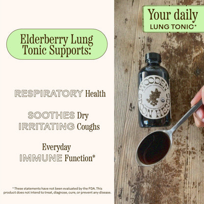 Wooden Spoon Herbs Elderberry Syrup – USDA Organic Lung & Immune Support | 8 fl oz