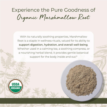 Starwest Organic Marshmallow Root Powder - 1 lb | Kosher, Non-GMO