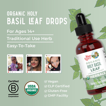 MaryRuth Organics Holy Basil Sugar Free Tulsi Drops | Antioxidant, Digestive Support & Cognitive Function | 1 Fl Oz