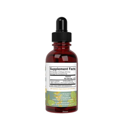 MaryRuth Organics Lemon Balm Leaf Liquid Extract | Mood Support, Relaxation | USDA Organic | 1 Fl Oz