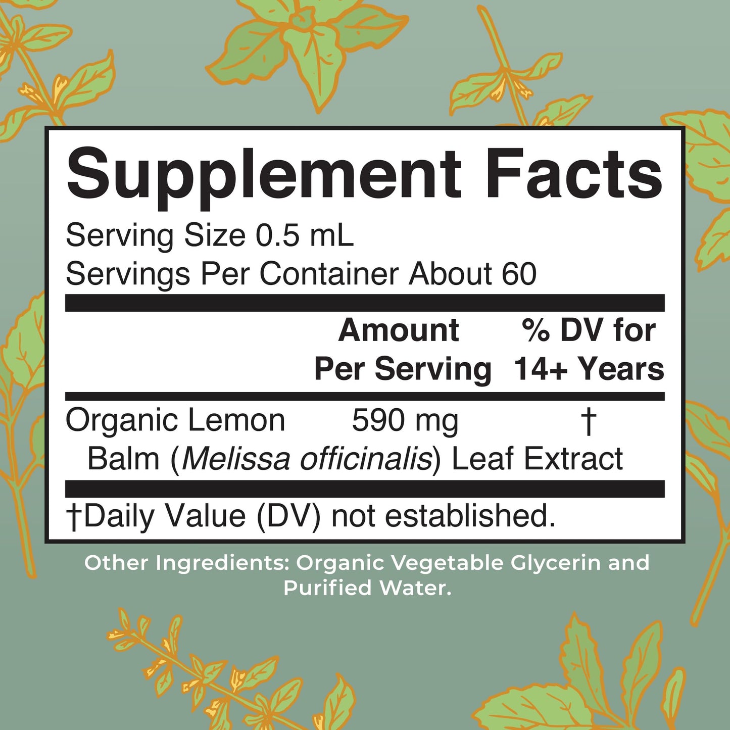 MaryRuth Organics Lemon Balm Leaf Liquid Extract | Mood Support, Relaxation | USDA Organic | 1 Fl Oz