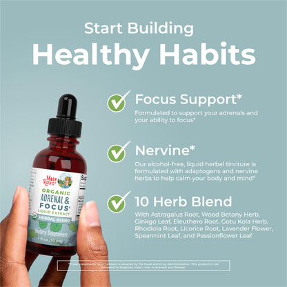 MaryRuth Organics USDA Organic Brain Nootropic Drops – Ginkgo Biloba & Astragalus | Focus & Adrenal Support | 30 Servings