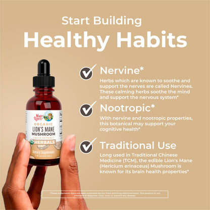 MaryRuth Organics Lions Mane Mushroom Supplement – USDA Organic, Nootropic, 1 Fl Oz