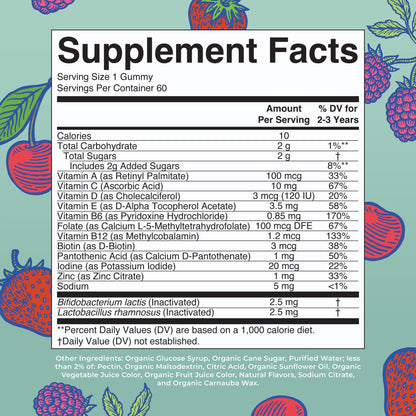 MaryRuth Organics Toddler Multivitamin Gummies + Postbiotics | USDA Organic | Vitamins for Kids Ages 2+ | Immune Support | Vitamin C | Vitamin D3 | Vitamin A | Zinc | Vegan | Non-GMO | 60 Servings