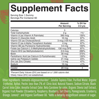 MaryRuth Organics Toddler Multivitamin Gummies – Sugar Free, Vegan, 60 Count