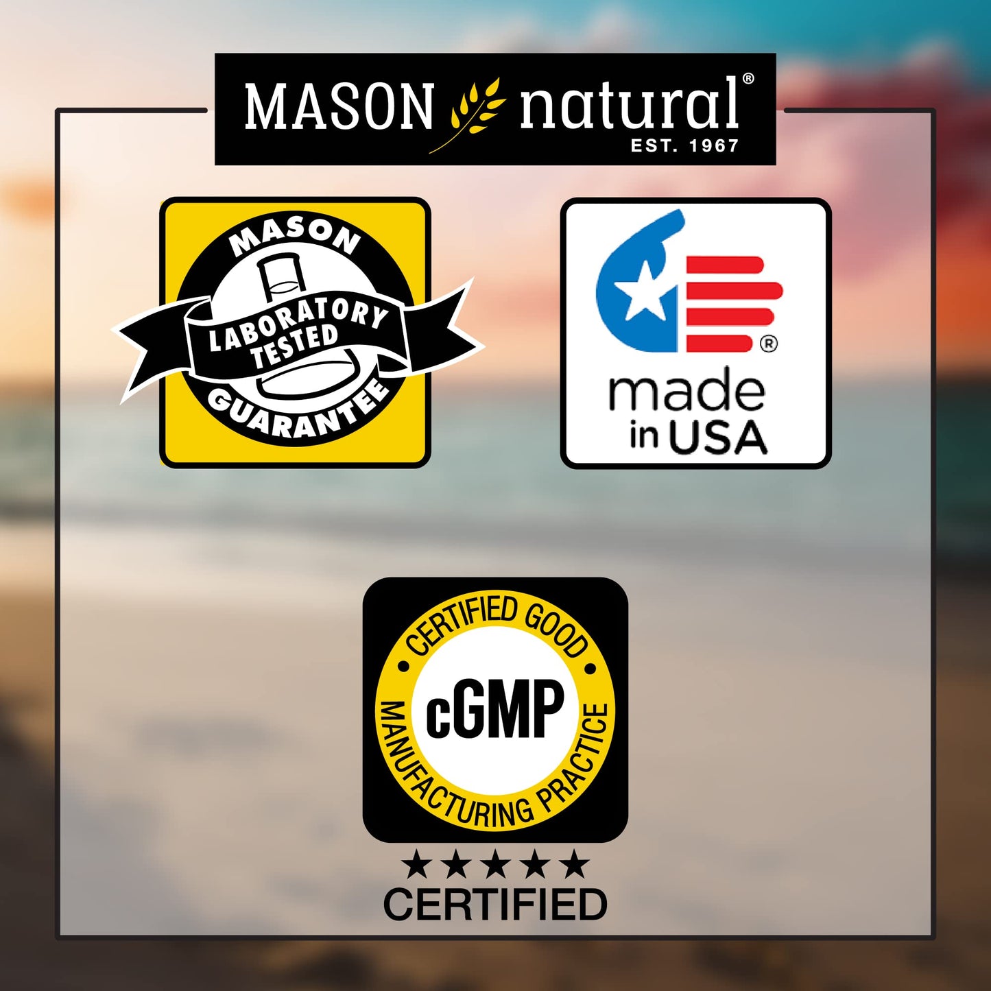 Mason Natural Glucosamine Complex + MSM with Vitamin C (90 Caps x 2)