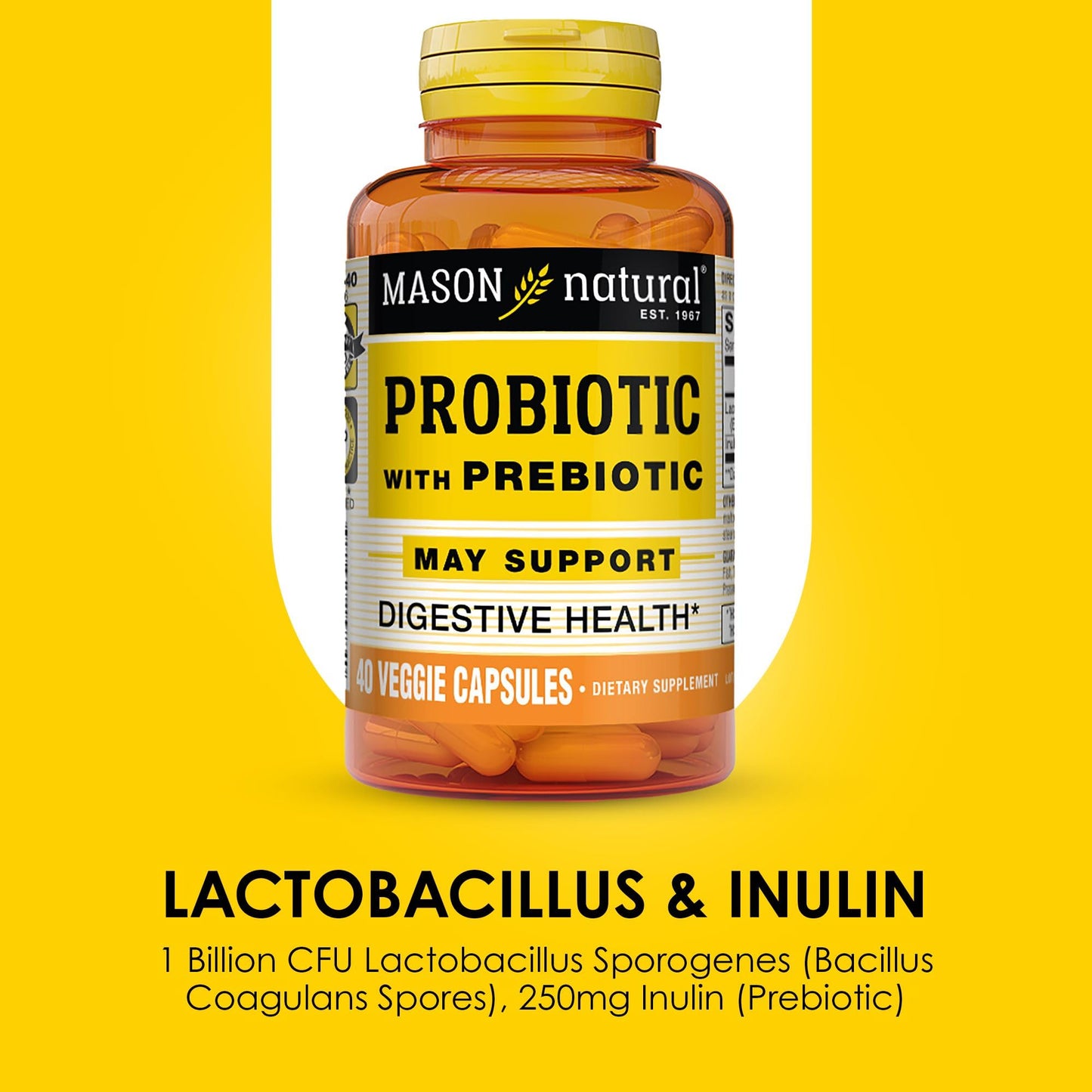 Mason Natural Probiotic with Prebiotic – 40 Day Supply | Gut Health & Digestion