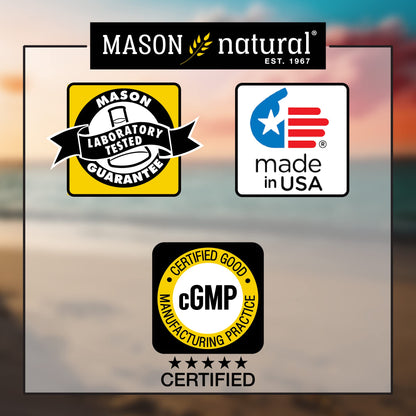 Mason Natural Turmeric 500 mg – 95% Curcuminoids, Joint Support, 60 Veggie Capsules (Pack of 2)