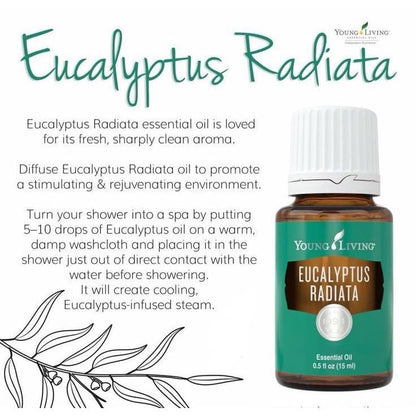 Eucalyptus Radiata Essential Oil 15ml by Young Living Essential Oils