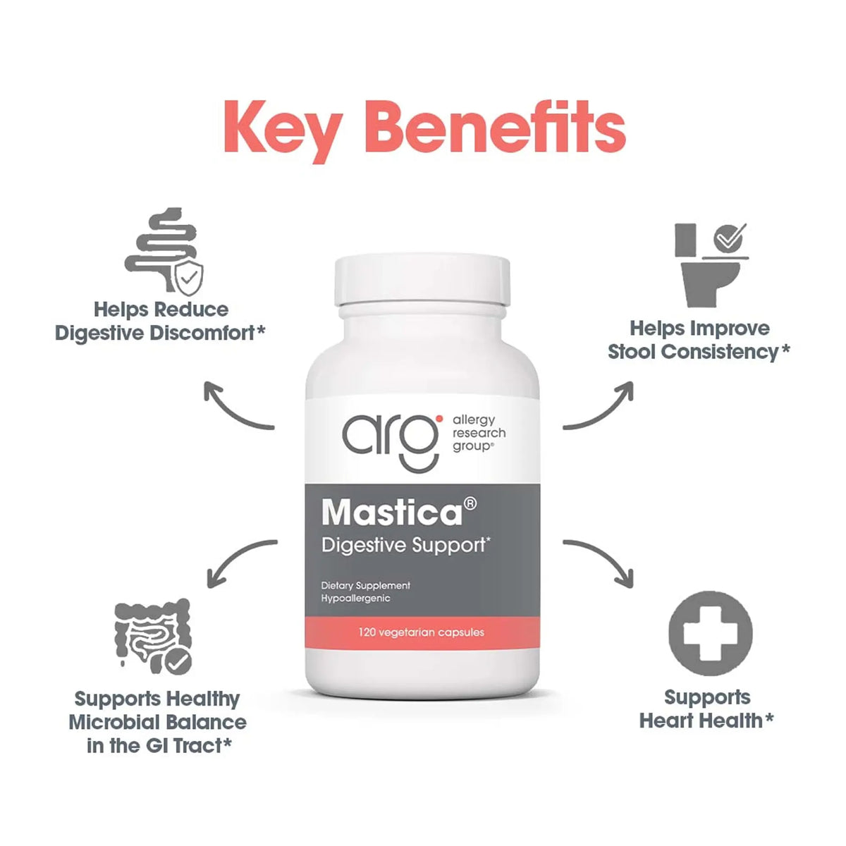 Allergy Research Group Mastica - 500 mg Mastic Gum Capsules for Digestive Support (120 Count) BritishVita | Premium UK Vitamins & Wellness Supplements