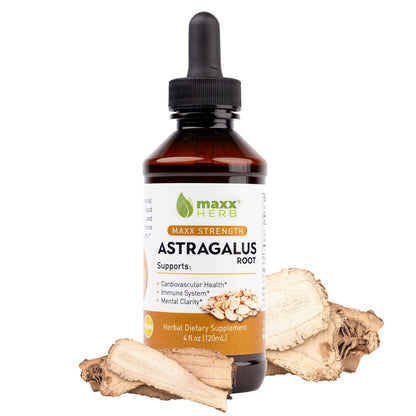 Maxx Herb Astragalus Root Extract – Max Strength Liquid Tincture for Immune Support & Mental Clarity | 4 oz (60 Servings)