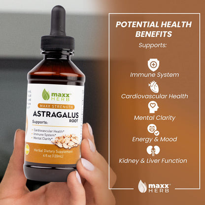 Maxx Herb Astragalus Root Extract – Max Strength Liquid Tincture for Immune Support & Mental Clarity | 4 oz (60 Servings)