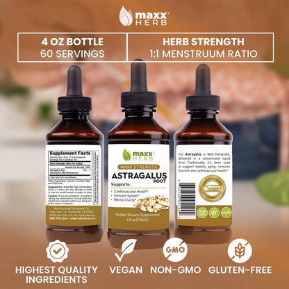 Maxx Herb Astragalus Root Extract – Max Strength Liquid Tincture for Immune Support & Mental Clarity | 4 oz (60 Servings)