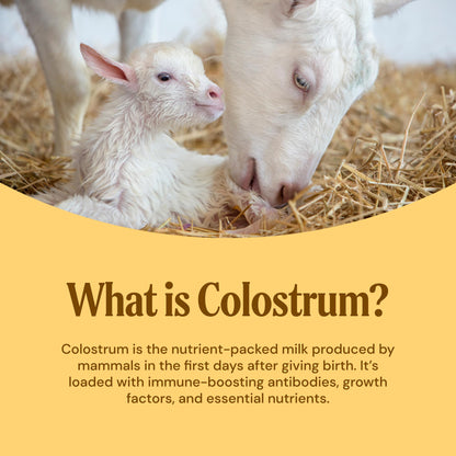 Mayfair Naturals Goat Milk Colostrum Powder – Grass-Fed, Immune & Gut Health (60g)