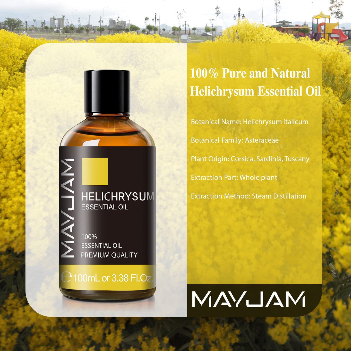 Helichrysum Essential Oil – MAYJAM, 100ml Glass Dropper for Diffusers