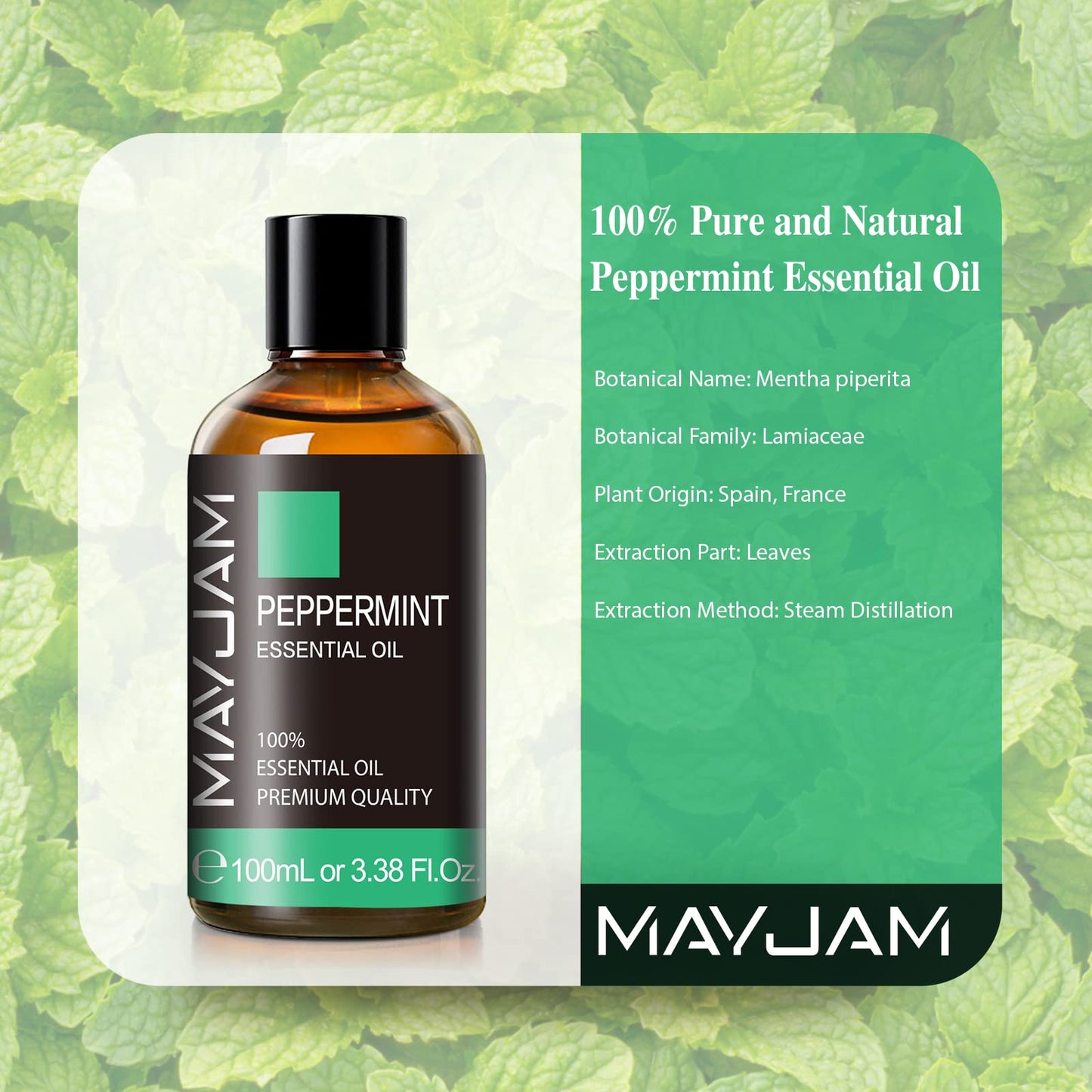 MAYJAM Peppermint Essential Oil - 3.38 fl oz | Premium Pure for Diffusers, Soap & Candles