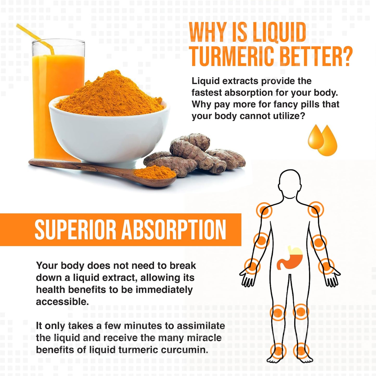 MBS Biotechnology Advanced Liquid Turmeric – High Absorption Curcumin with BioPerine & Vitamin D3 – 20 fl oz
