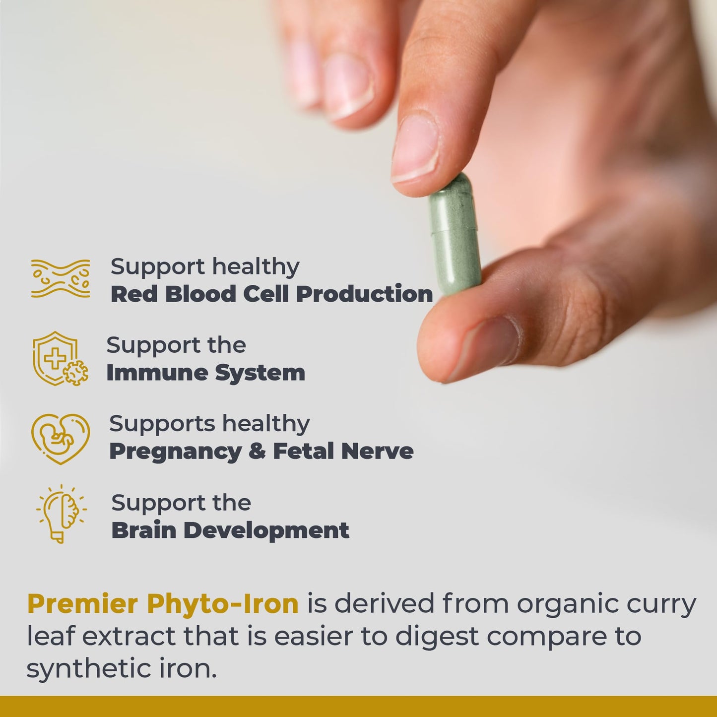 Phyto-Iron Premier Plant-Based Iron — 18 mg, 120 Capsules