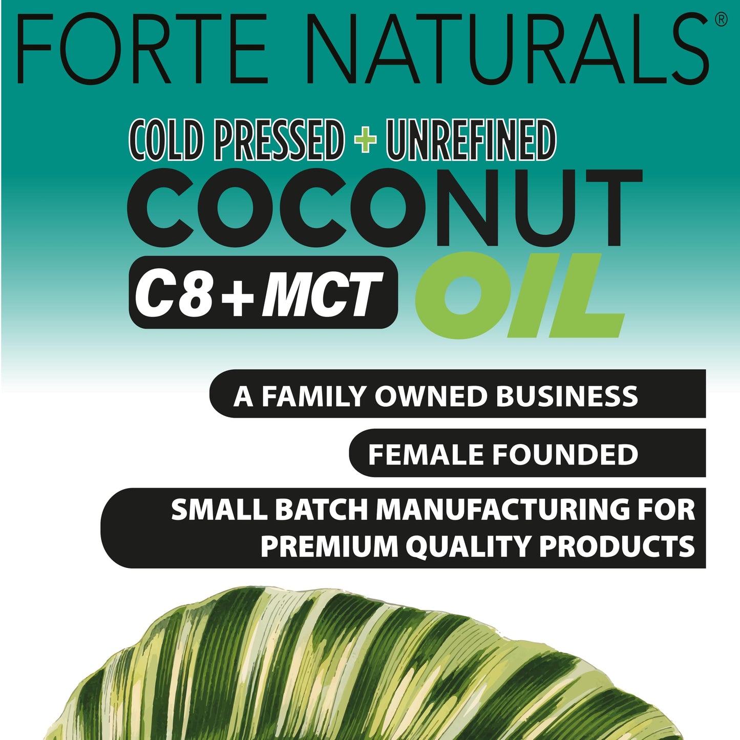 FORTE NATURALS Coconut Oil Softgels 1000mg | C8/C10 MCT for Brain & Gut Health