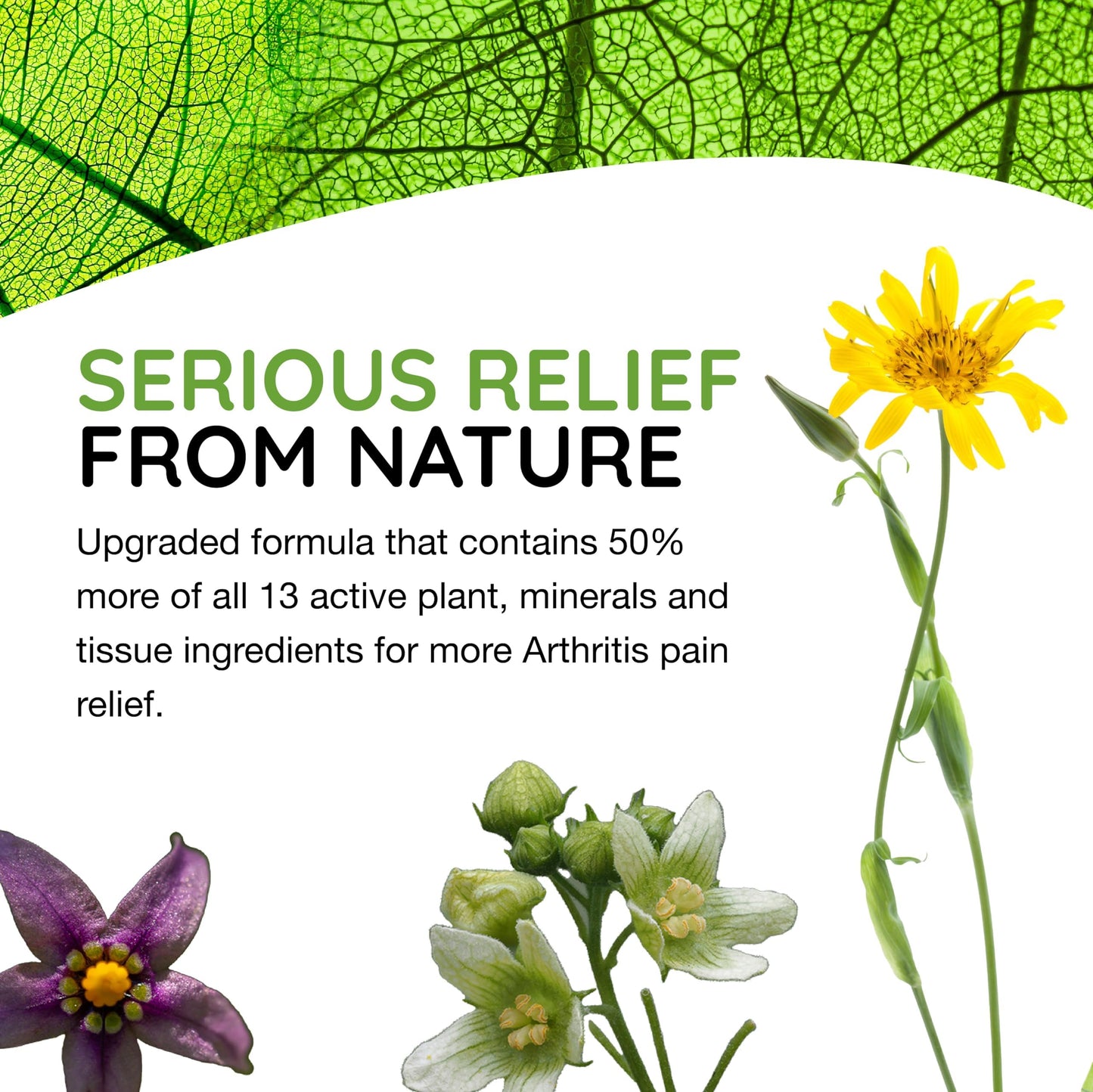 MediNatura T-Relief Extra Strength Arthritis Pain Reliever – Arnica +12 Natural Medicines | 100 Tablets