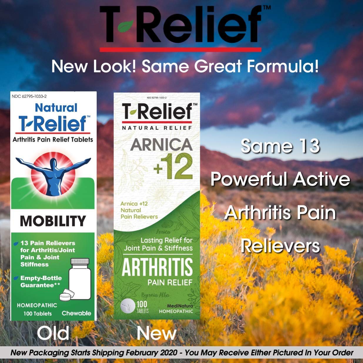 MediNatura T-Relief Extra Strength Arthritis Pain Reliever — Arnica +12 Natural Medicines | 300 Tablets (Pack of 3)