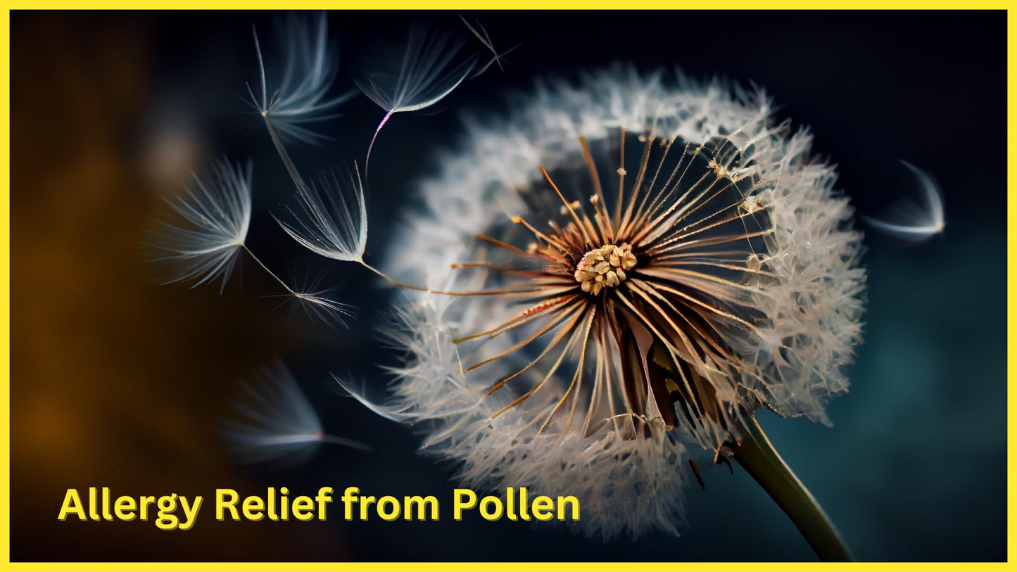 MedPlus Allergy Relief Medicine 25 mg – 1000 Tablets | Diphenhydramine HCl | Made in USA