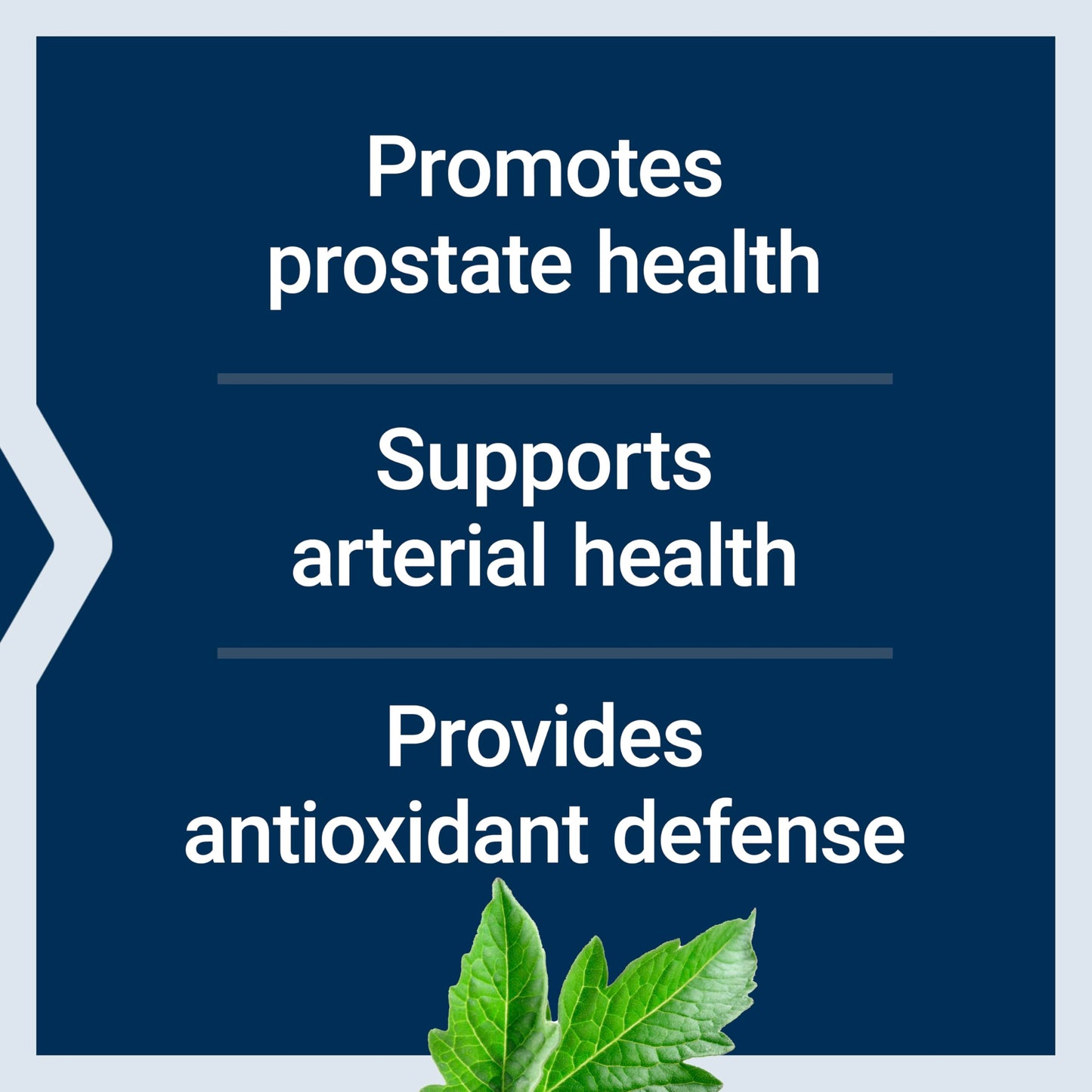 Mega Lycopene 90 Softgels – Prostate & Arterial Health, Non-GMO, Gluten-Free