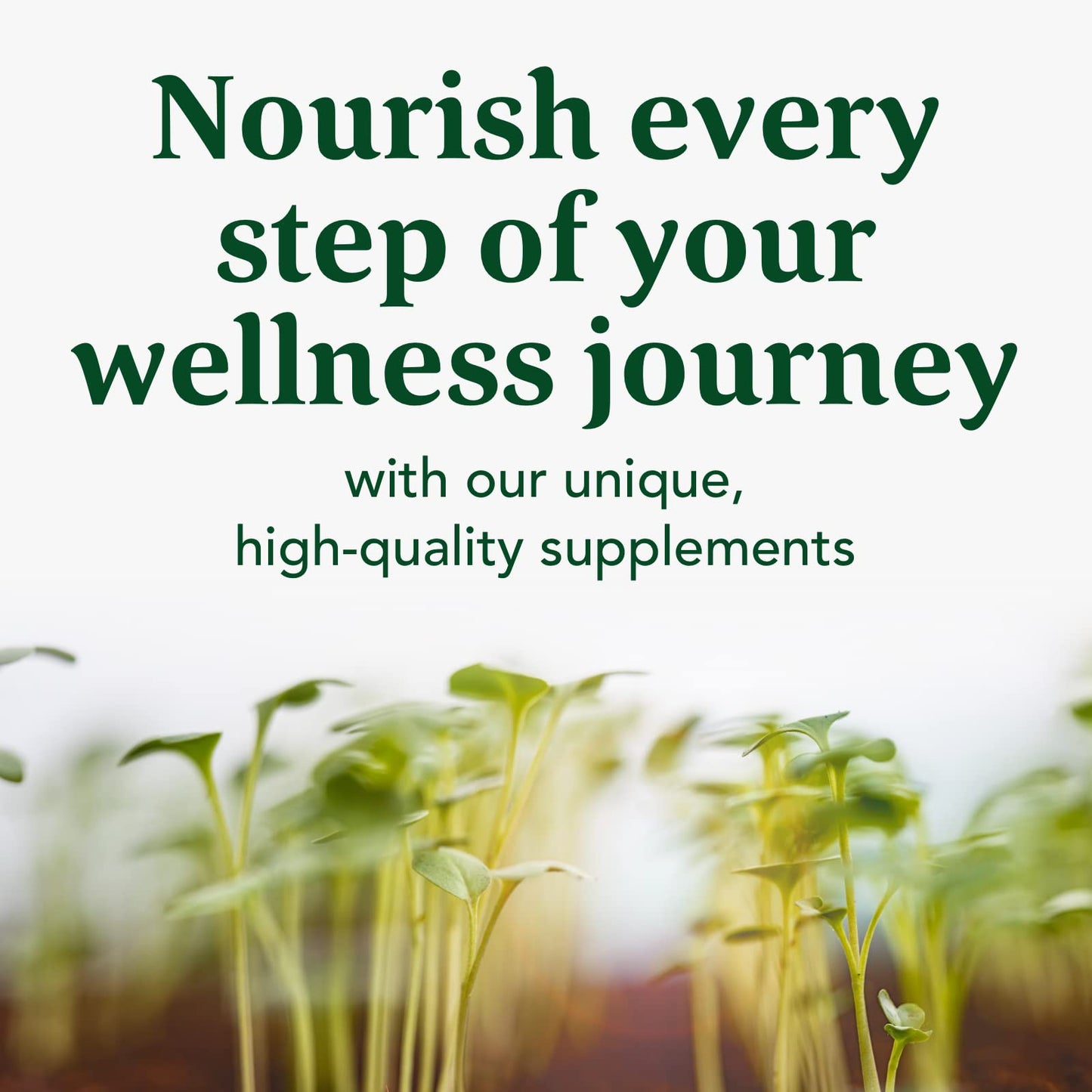 MegaFood Daily Turmeric Nutrient Booster Powder | Vegan Turmeric Supplement