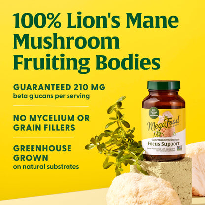 MegaFood Superfood Mushroom Focus Support – Doctor Formulated Lions Mane with Bacopa | Vegan, 60 Capsules