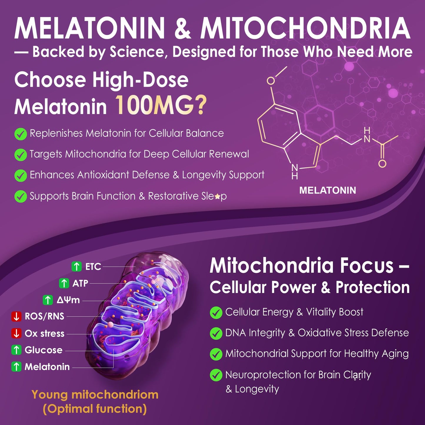 Melatonin 100mg Liposomal – Antioxidant & Cognitive Health, 75 Softgels