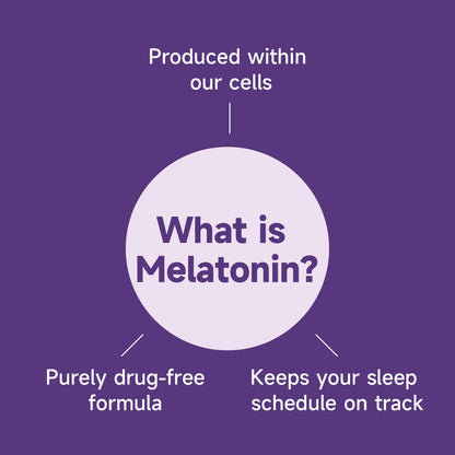 Melatonin 3mg Gummies for Adults – Vegan, Sugar-Free, Strawberry (60 Count) | L-Theanine & GABA