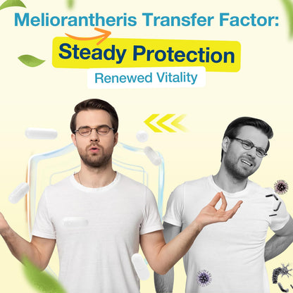 Meliorantheris Transfer Factor 1800mg – Immune & Cognitive Support (90 Capsules, 2 Bottles)