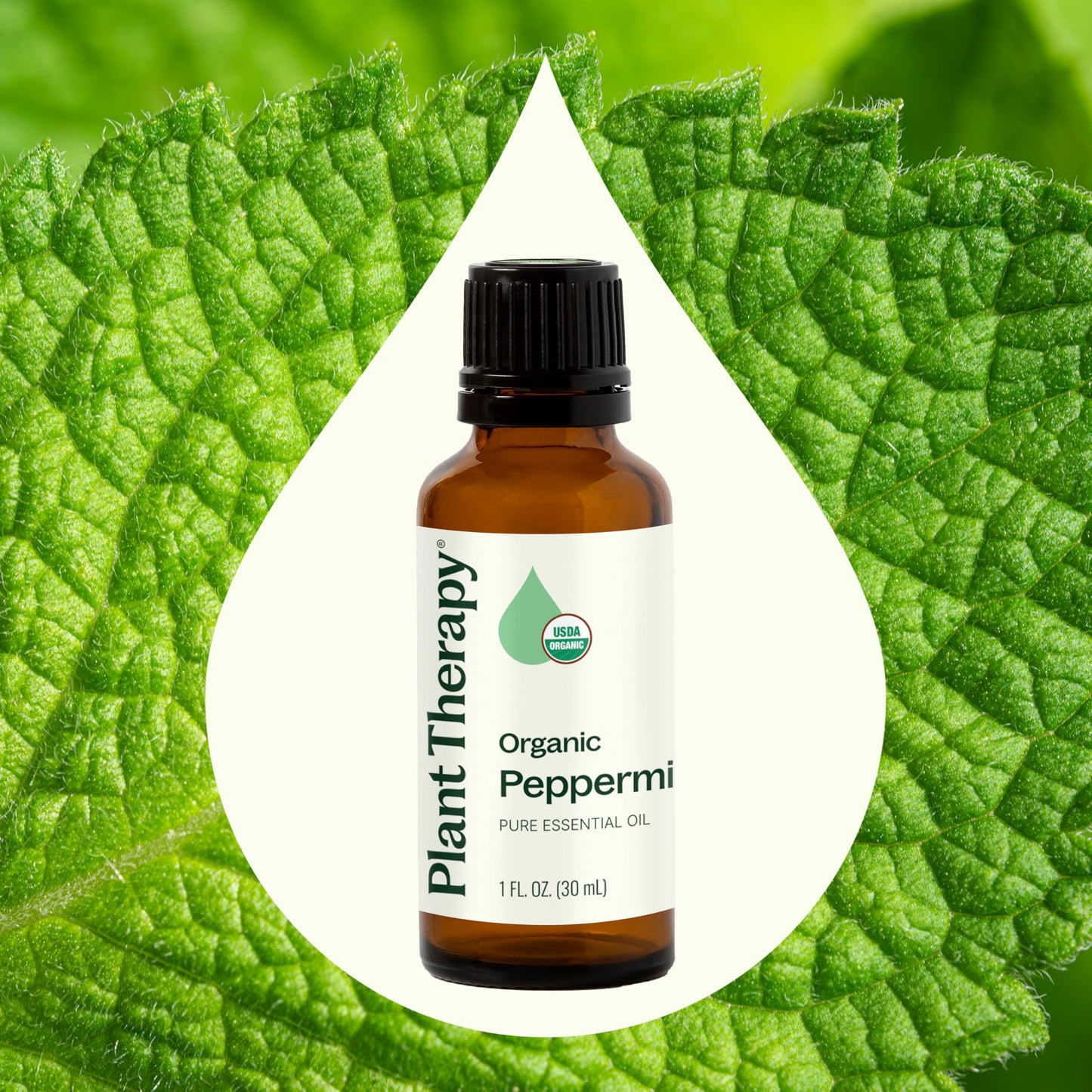 Plant Therapy Organic Peppermint Essential Oil 30 mL - 100% Pure, USDA Organic