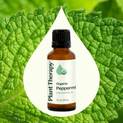 Plant Therapy Organic Peppermint Essential Oil 30 mL - 100% Pure, USDA Organic