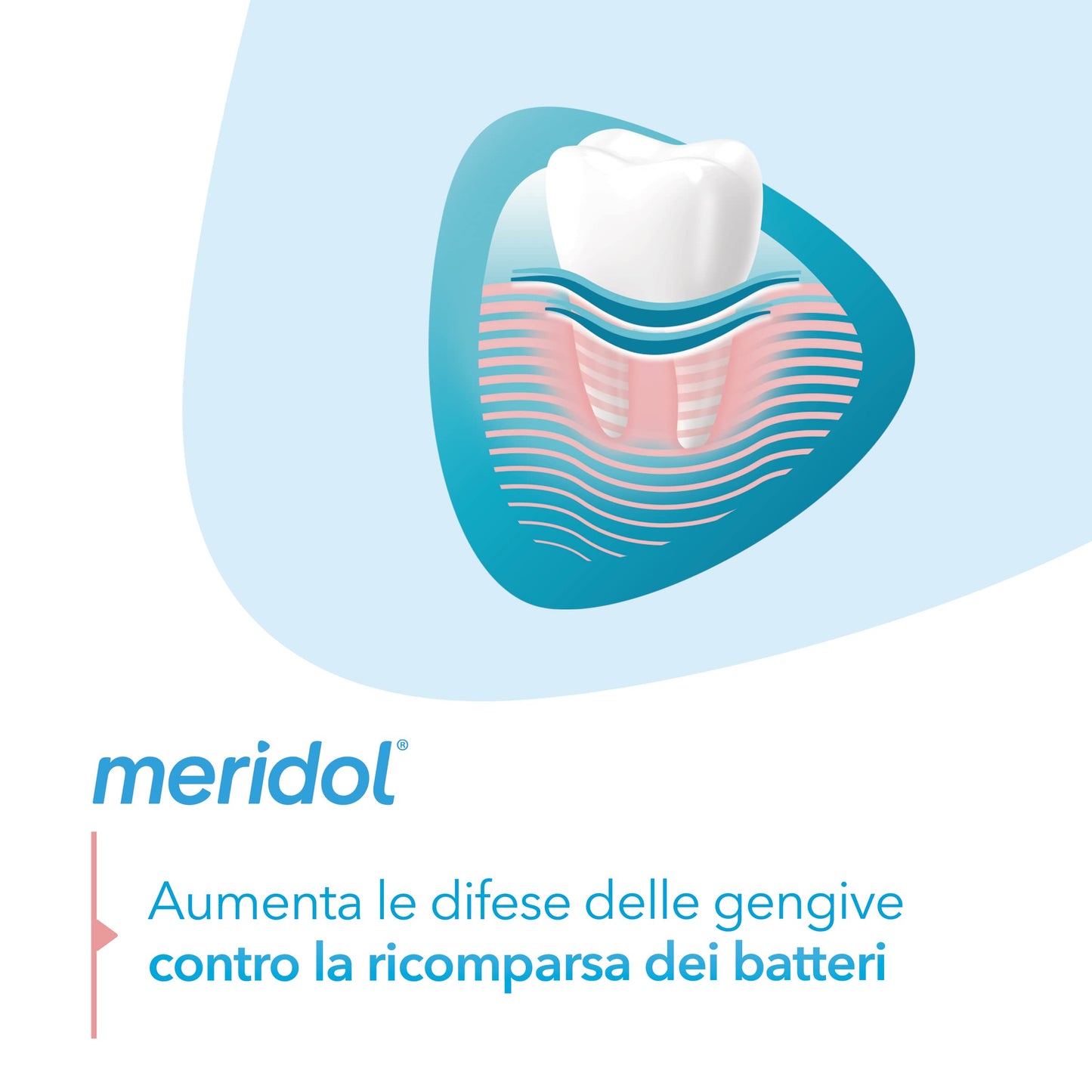 Meridol Gencives Irritees Dentifrice Pack Double – 2 x 75 ml