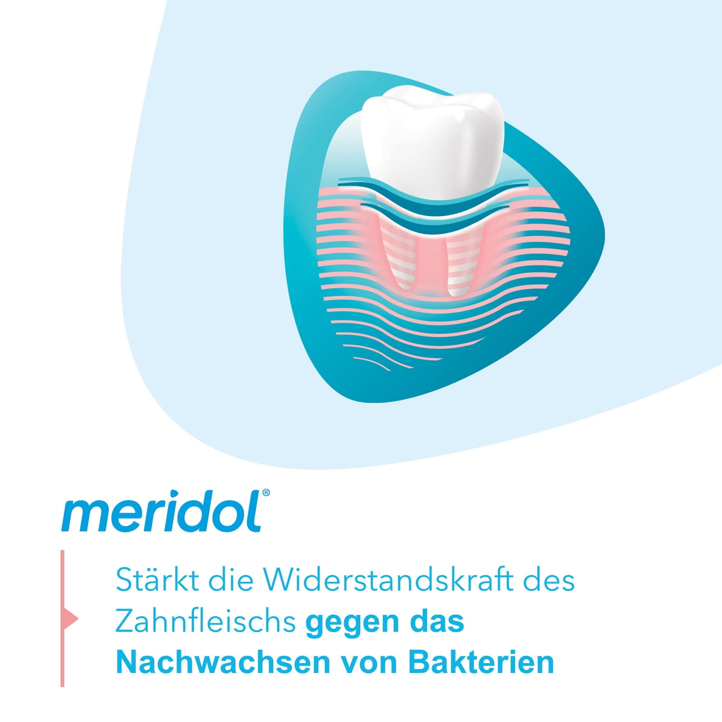 Meridol Toothpaste Double Pack (2x75ml) – 150 ml | Gum Care & Decay Protection