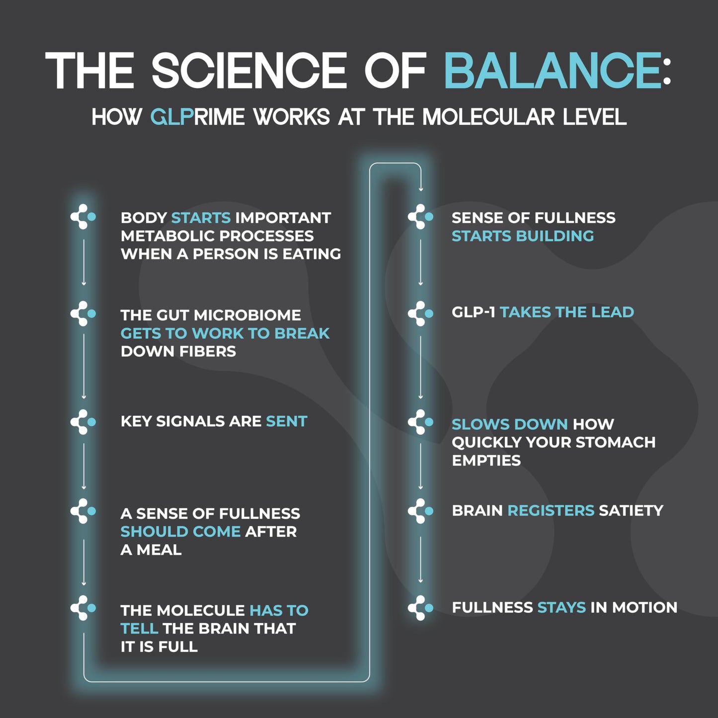 METAERA GLPrime GLP-1 Supplement - Natural GLP-1 Booster with Berberine, Cinnamon & Chromium - 1 Bottle