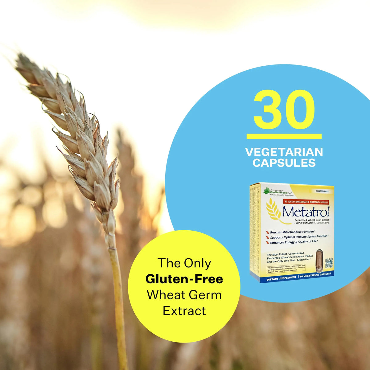 Metatrol Fermented Wheat Germ Extract - Immune & Mitochondria BritishVita | Premium UK Vitamins & Wellness Supplements