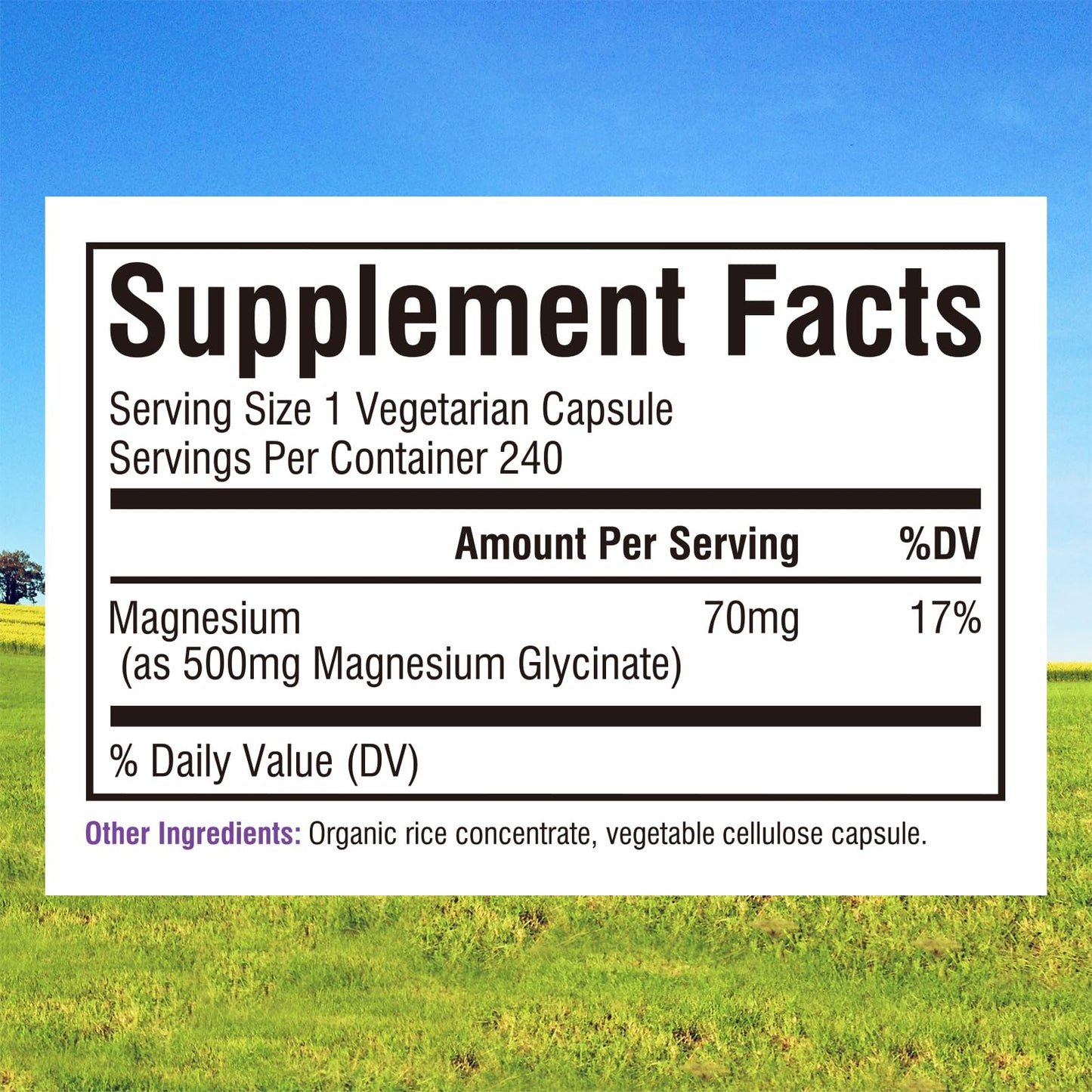 Innate Vitality Magnesium Glycinate 500mg | 70mg Elemental Mg | 240 Caps
